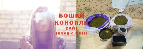 дживик Киреевск