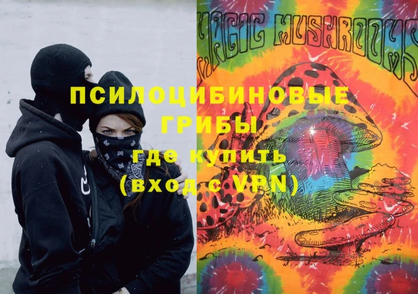 шишки Кинешма