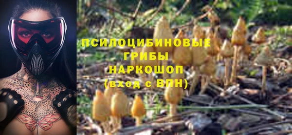 шишки Кинешма