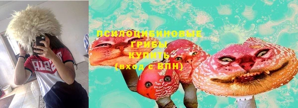 синтетический гашиш Карпинск