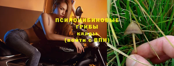 молекула духа Касимов