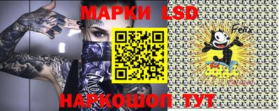 крисы Аргун