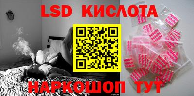 крисы Аргун