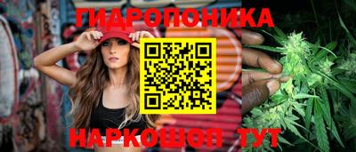 PSILOCYBIN Гусиноозёрск