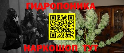 твердый Гусь-Хрустальный