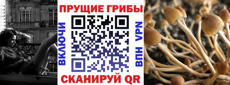 Галлюциногенные грибы прущие грибы  купить закладку  Кимры 