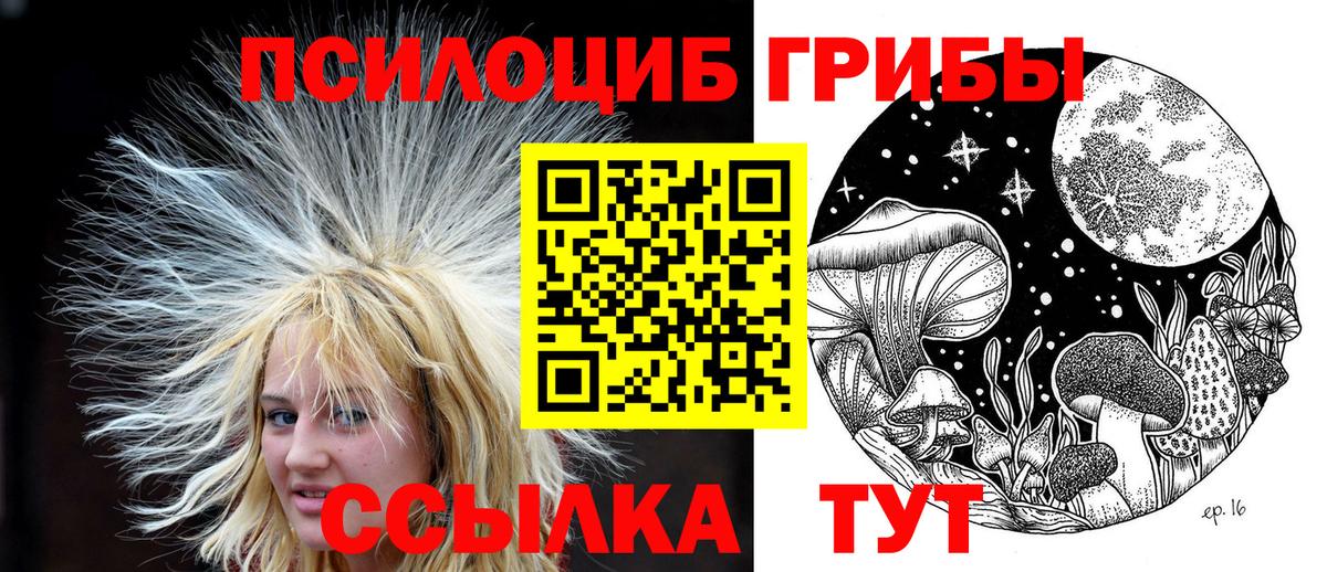 Галлюциногенные грибы Psilocybine cubensis Кимры