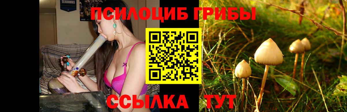 Кимры  Псилоцибиновые грибы GOLDEN TEACHER  Псилоцибиновые грибы Magic Shrooms  Вход с VPN 